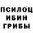 Псилоцибиновые грибы Psilocybine cubensis Lili0797