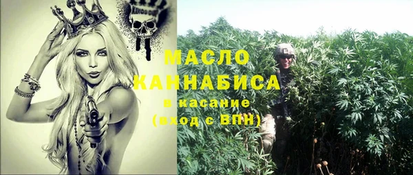 дживик Каменка